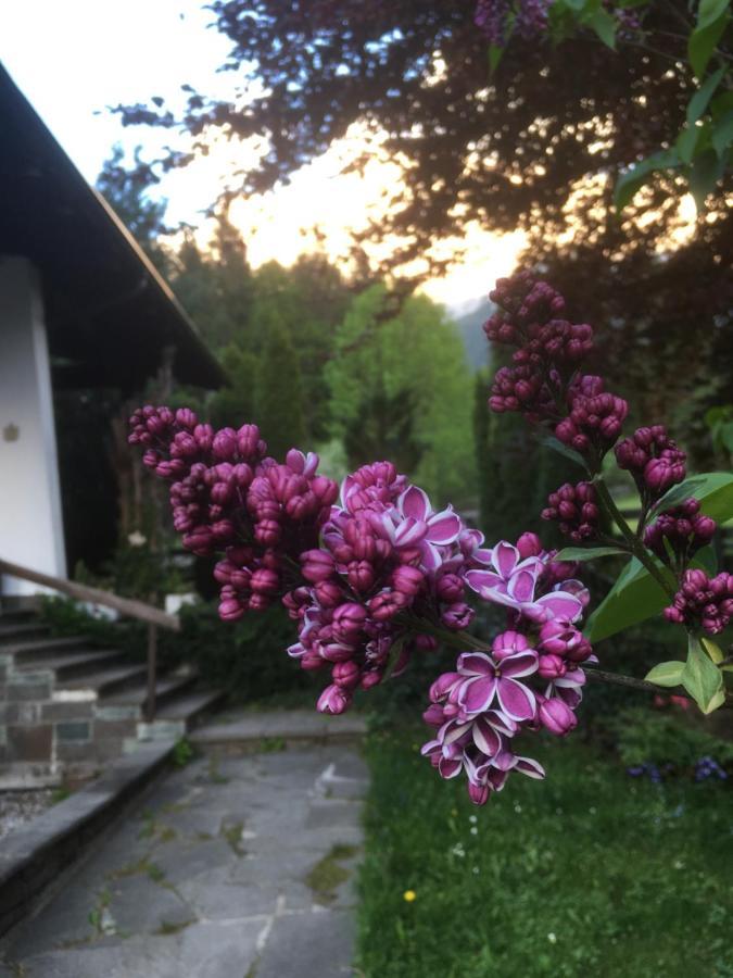 Ferienhaus Wieswald Эрвальд Экстерьер фото